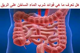 هل تعرف ما هي فوائد شرب الماء الساخن على الريق حقائق واكتشافات