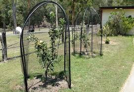 Gardeners.com has been visited by 10k+ users in the past month Apple Bird Net Self Sufficient Culture