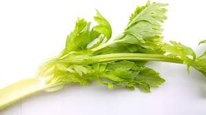 Untuk menjaga kesegarannya, sayur dan buah memang paling praktis disimpan di kulkas. 5 Cara Menyimpan Seledri Agar Tetap Segar Dan Renyah Jangan Sampai Salah Hot Liputan6 Com