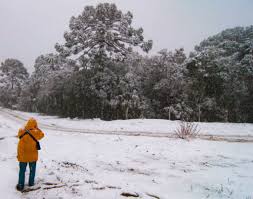 Projetos inovadores e qualidade na entrega. Dez Cidades Onde E Possivel Ver Neve No Brasil Viajei Bonito