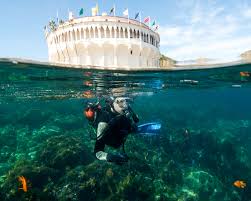 Top 5 Dive Sites In Los Angeles California