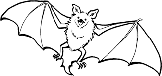 Ausmalbild Süße Fledermaus Ausmalbilder Kostenlos Zum