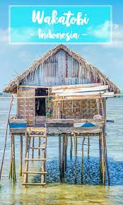 Find out where to go in indonesia to a have an unforgettable time. 5 Reasons To Visit Wakatobi Indonesia Getting Stamped Indonesia Travel Indonesia Asia Travel