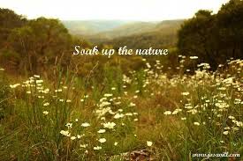 Soak Up Nature Love Nature Quotes Nature Quotes Mother Nature Quotes