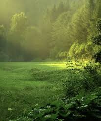 Pin By Donald Hunt On Nature Themes Beautiful Nature Green Nature Nature