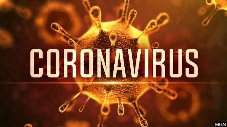 Image result for Botswana Registers First Case Of Coronavirus"