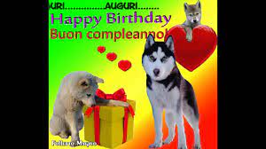 Buon Compleanno Tanti Auguri A Te Happy Birthday To You Cani Parlanti Wolf Talking Youtube