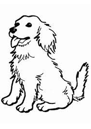 C o l o r i n g. Coloring Pages Golden Retriever Puppy Coloring Pages