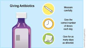 Image result for Antibiotic