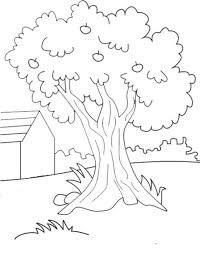 Baum tree test merupakan tipe tes psikologi yang diminta untuk menggambar sebuah pohon dengan kriteria tertentu. Psikotes Menggambar Pohon Baum Tree Test Soal Psikotes Ui Ist