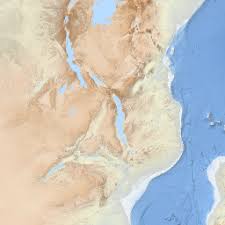 Image result for Calostephane