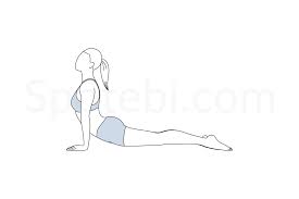 Upward Facing Dog Pose Urdhva Mukha Svanasana Upward Facing Dog Pose Upward Facing Dog Dog Poses