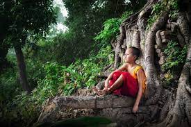 the tree of life the monks monk photography