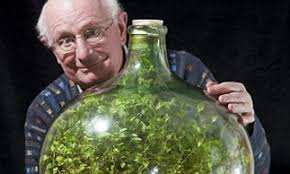 Check spelling or type a new query. The Sealed Bottle Garden Still Thriving After 40 Years Without Fresh Air Or Water Daily Mail Online