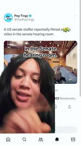 #stitch with @Flower Sea Sand staffer is an icon for that though #iconic  #leftisttiktok