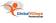 Global Village Professional Inc logo