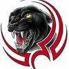 Panther hitam dewasa, macan kumbang, binatang, fotografi, jaguar, kucing, kedalaman bidang, wallpaper hd. Https Encrypted Tbn0 Gstatic Com Images Q Tbn And9gcrdqkpe0uwkzrxohzgsbfffb9hpsks Actumcq8l6mga7ye5zms Usqp Cau