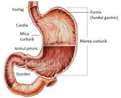 Persoanele cu risc de cancer de desi cauza cancerului de colon nu este cunoscuta, si sunt numeroase cazuri in care boala apare pe neasteptate, exista persoane care au risc previzibil. Cancerul Face Ravagii Printre Tineri Cancer Gastric La Tineri
