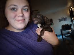 Missing white male pit bull in Oats area