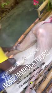 @94_teddybears video Tweet