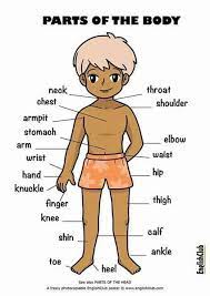 Maybe you would like to learn more about one of these? Learn Body Parts In English Aunt Learn English Making Friends Online On Skype Facebook