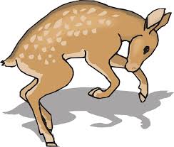 Download as svg vector, transparent png, eps or psd. Fawn Animal Deer Free Vector Graphic On Pixabay