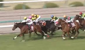 Jun 28, 2021 · 【なんj競馬】あっついあっつい夏競馬はこちらw 2021/6/28 なんj , 季節 1: å‡ºèµ°é¦¬ç¢ºå®šæ™‚ç‚¹ã§ã®ä»Šé€±ã®æ³¨ç›®é¦¬ 4æœˆ11æ—¥ 12æ—¥