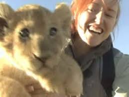 Clive Stewart's ads and commercials