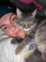 Cat drinks dirty water from vase