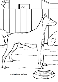 Our printable sheets for coloring in are ideal to brighten your family's day. Coloring Page Doberman Pinscher Dog Free Coloring Pages