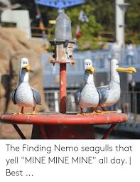 Finding nemo mine trolling on call of duty yeah i know that mine sound is annoying but enjoy the video of people getting. The Finding Nemo Seagulls That Yell Mine Mine Mine All Day Best Finding Nemo Meme On Me Me