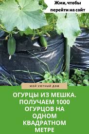сад огород своими руками огурцы от а до я Pin Na Doske Remont