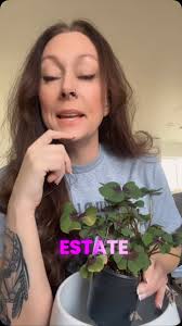 🏡✨ 𝑹𝒆𝒂𝒍 𝑬𝒔𝒕𝒂𝒕𝒆 𝑨𝒈𝒆𝒏𝒕𝒔, 𝑰𝒕’𝒔 𝒀𝒐𝒖𝒓 𝑻𝒊𝒎𝒆 𝒕𝒐  𝑺𝒉𝒊𝒏𝒆! ✨🏡, The best season for real estate is HERE! 🌟 Don’t miss the  chance to maximize your listings, attract buyers, and stay top of  mind—without spending ...