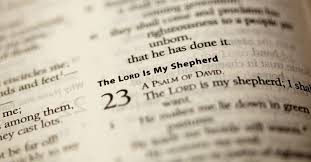 We did not find results for: The Amazing Riches Of Psalm 23 Mark Altrogge