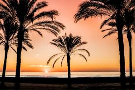 Klik hier en vergelijk 599.037 vakantiehuizen en appartementen in spanje van 208 websites eenvoudig de beste deals & bespaar tot 40% met hometogo. Costa De Valencia Was Sie Besichtigen Sollten Und Die Besten Tipps Spain Info Auf Deutsch