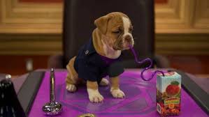 Still From And Then There Were Puppies Well This Certainly Puts The Odd In Odd Dorable You Won T Want To Miss Today S Paw Some Odd Squad Episode Enfant