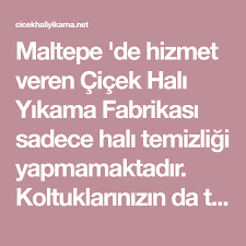 maltepe de hizmet veren cicek hali yikama fabrikasi sadece hali temizligi yapmamaktadir koltuklarinizin da temizligini yapmaktadir koltuklar yerler halilar