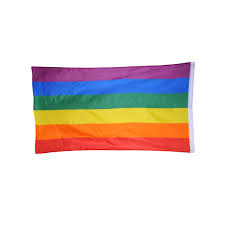 Fengyuanhong 90 x 150 cm LGBT Flag Lesbian Gay Pride Friendly Colourful  Rainbow Flag Homo Home Decorative Accessories : Amazon.de: Toys