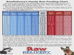 Raw Feeding Chart Find Your Dog Or Cats Weight And Activity