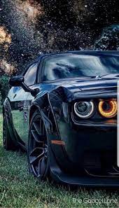 Cars Bikes Wallpaper Audi Cars Lamborghini Cars Sports Cars Luxury