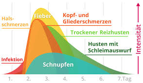 Erkaltung Grippaler Infekt Oder Grippe Lemocin