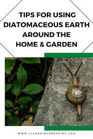 To these insects, diatomaceous earth is a lethal dust with microscopic sharp edges that cut through their protective covering and dries them out. Is Diatomaceous Earth Eco Friendly And Harmless To Humans