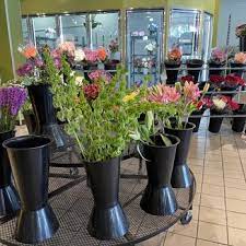 Another explanation is that it refers metaphorically to a pirate's cove. Field Of Flowers 65 Photos 99 Reviews Florists 8177 Nw Glades Rd Boca Raton Fl Phone Number Yelp
