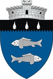 Lista noilor coduri postale din romania si prefixe telefonice, coduri postale moldova si alte tari.cod postal cornu luncii judetul suceava. Bilca Wikipedia