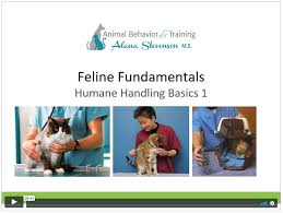 Providing house cats with necessary mental and in this webinar, you will learn the common causes of fear, anxiety, and stress in cats, as well as the debra hosts free online webinars, which teach pet owners and pet service providers learn how to address. Feline Fundamentals Webinars Alana Stevenson