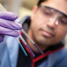 Division of Research and Economic Development