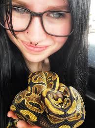 What lights are necessary for a pet snake?