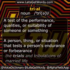 Pin On Voice Dictionary Daily Def