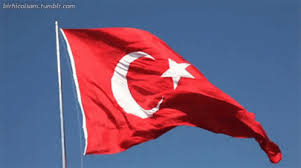 Use them in commercial designs under lifetime, perpetual & worldwide rights. Turkey Flag Gif Turkey Flag Waving Discover Share Gifs