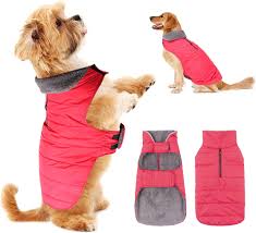 PPET ALBERDITH ALLATA LLMAAY LLMAAY ALSTA AND الكويت | Ubuy